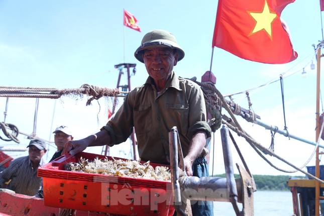 Sau một đêm ra khơi đánh bắt, ngư dân trở về mang theo chiến lợi phẩm là những khoang tàu đầy ắp cá, tôm, ghẹ… trong đó nhiều nhất là tôm tít.