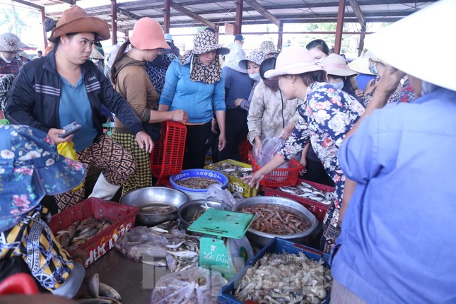 Cảng cá không chỉ thu hút người dân địa phương mà cả những vùng lân cận đến tham quan, mua bán.