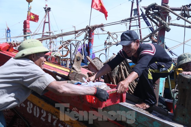 Nhanh tay di chuyển hải sản lên bờ, ngư dân Nguyễn Văn Hải chia sẻ, mấy ngày nay tranh thủ thời tiết nắng ráo nên nhiều ngư dân bám biển vươn khơi. Thuyền của anh đánh bắt cách bờ khoảng 3-4 hải lý, thu được một số loại hải sản, trong đó chủ yếu là tôm tít, cá trỏng, ghẹ.