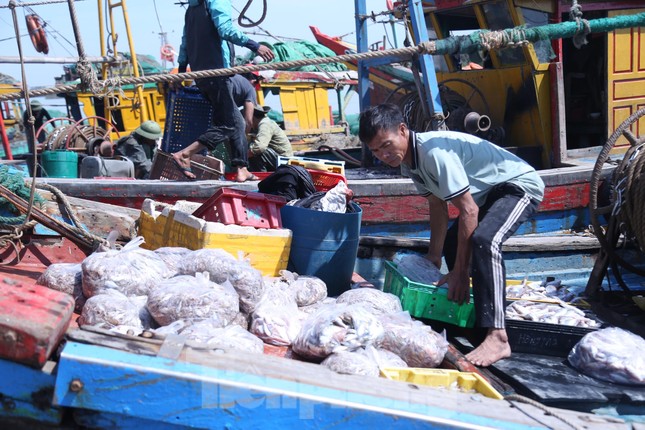 Những khoang thuyền đầy ắp tôm, cá.