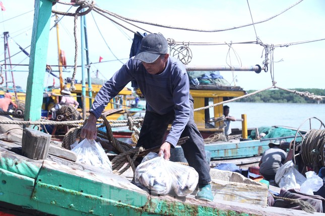 “Chỉ trừ khi biển động ra còn cứ mang thuyền ra biển ngày nào là có thu nhập ngày ấy, bình quân từ 1 - 2 triệu đồng. Có chuyến trúng đậm hải sản mang lại thu nhập 4 - 5 triệu đồng”, anh Hải cho hay.