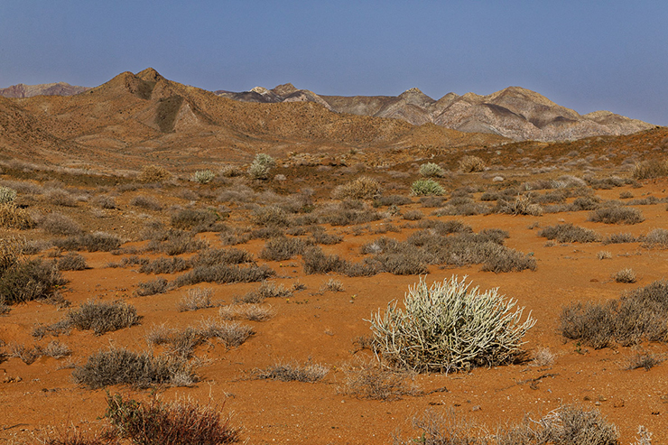 1. Sa mạc có ở một số quốc gia, đây là một dạng địa hình rất đặc biệt. Thông thường, sa mạc là nơi khô, nóng, thiếu nước, rất dễ đi lạc và hay xuất hiện bão cát.
