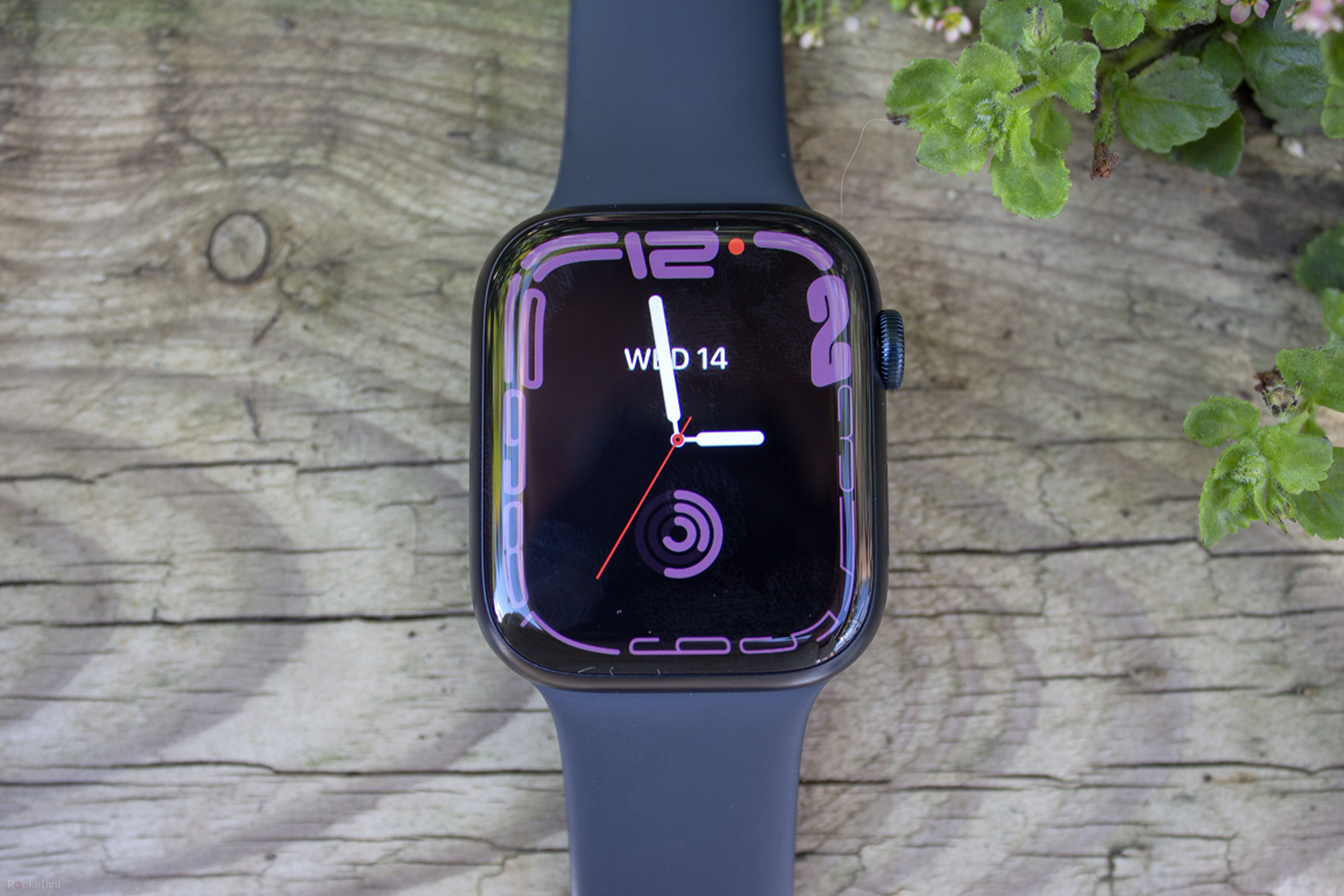 Apple Watch Series 8.