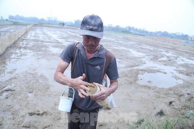 Sau khi chuẩn bị ống, mồi, người dân sẽ đi đặt bẫy. Bẫy thường sẽ được đặt vào sáng sớm, cũng có thể đặt vào buổi chiều khi thủy triều rút, lộ hang và cáy sẽ bò ra ngoài kiếm ăn.