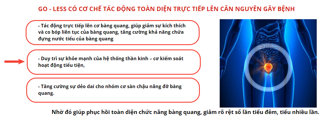 Cơ chế tác động toàn diện của GO-LESS