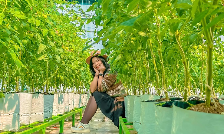 Sinh ra và lớn lên trong một gia đình thuần nông, bản thân lại yêu thích trồng trọt nên chị Hà Minh Đợi (SN1984), trú tại TP. Bắc Kạn đã bắt tay vào làm vườn trên sân thượng.
