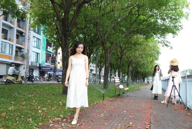 Điểm check in mới của giới trẻ Sài thành: Hàng cây lộc vừng thay lá đậm sắc thu - hình ảnh 4