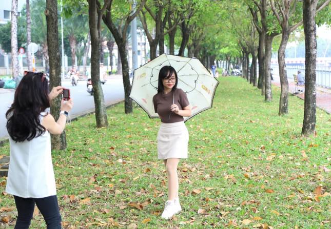 Điểm check in mới của giới trẻ Sài thành: Hàng cây lộc vừng thay lá đậm sắc thu - hình ảnh 3