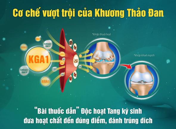 Suy gan, suy thận, phá hủy nội tạng do sử dụng thuốc giảm đau xương khớp sai cách, biết sớm mẹo này khỏe re! - 4