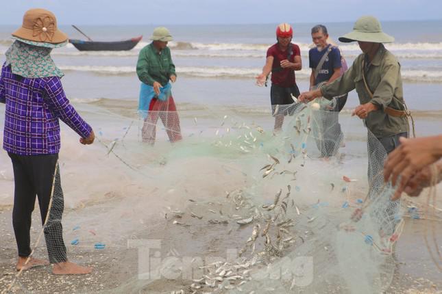 Người già, phụ nữ đều cùng ra biển để kéo cá. Họ cho biết mỗi đợt kéo cá khoảng 2-4h đồng hồ sẽ vào bờ.