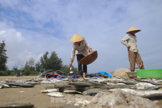 Sau khi bán cho thương lái, người dân trong nhóm kéo lưới giành lại một phần cá để phân chia mang về nhà sử dụng.