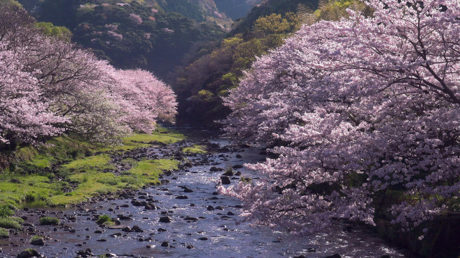 10 ngôi làng tuyệt đẹp nên ghé thăm nhất Nhật Bản - hình ảnh 6
