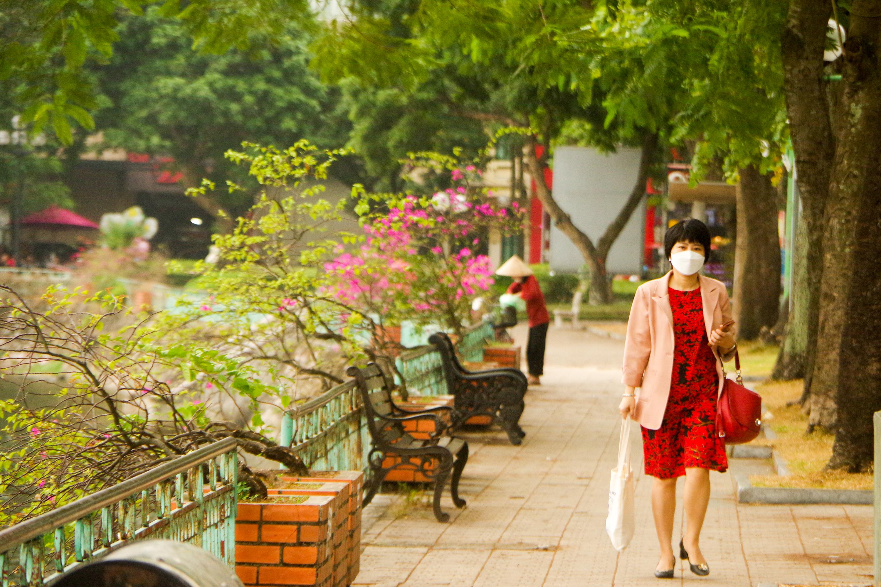 Trong ký ức của nhiều người Hà Nội, hoa giấy gắn liền với những ngôi nhà cũ kỹ hoặc những khu tập thể lâu năm.