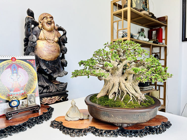 Đến nay, khu vườn của anh có khoảng hơn 100 chậu cây bonsai, có thời điểm lên đến 200 chậu.
