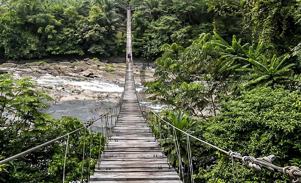 Cameroon: Quốc gia được ví như “trái tim” của châu Phi là nơi như thế nào? - 10