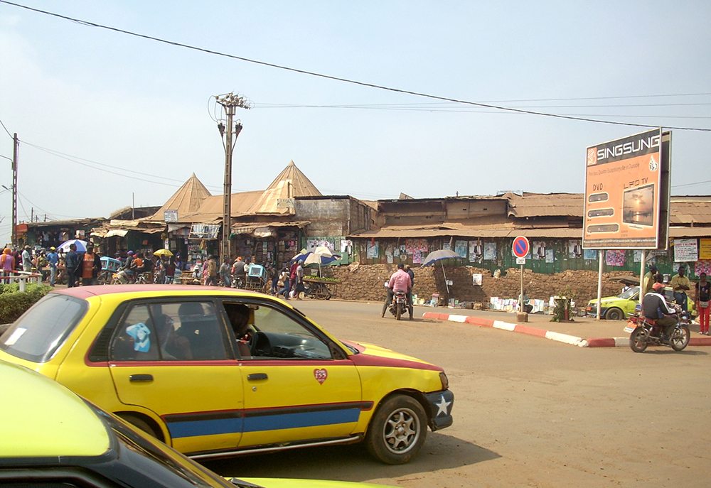 Cameroon: Quốc gia được ví như “trái tim” của châu Phi là nơi như thế nào? - 8