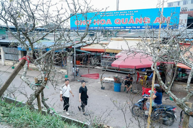 Hà Nội: Hoa lê rừng giá cả triệu đồng xuống phố