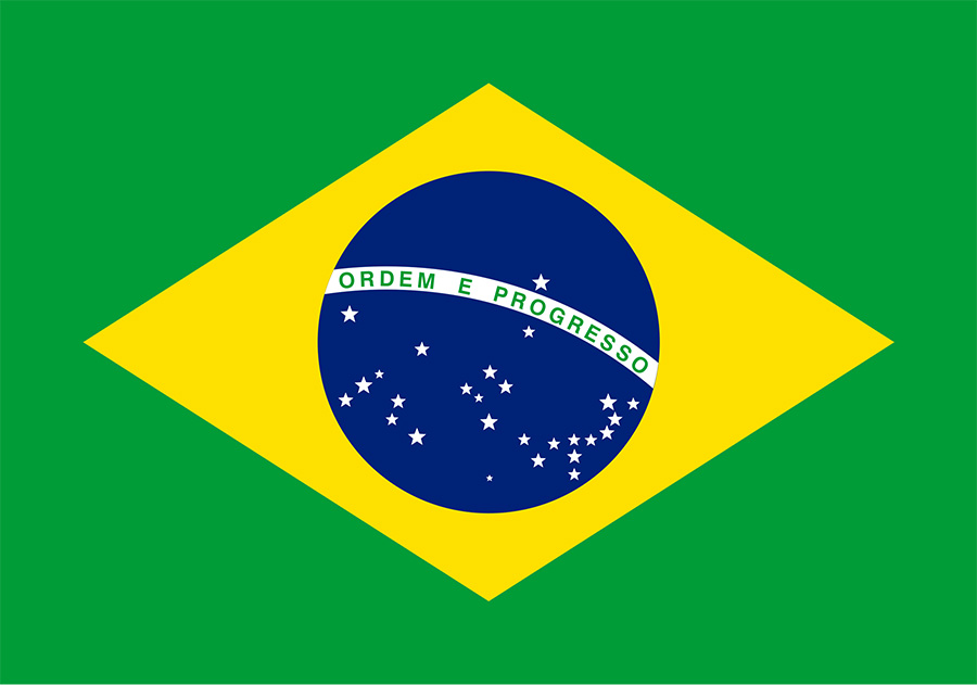 10 sự thật thú vị về Brazil ít người biết tới nhất - 9