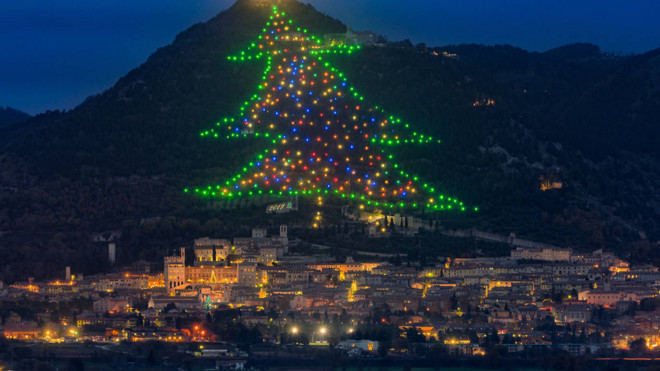 Cây thông Noel lớn nhất thế giới sắp được thắp sáng - 1