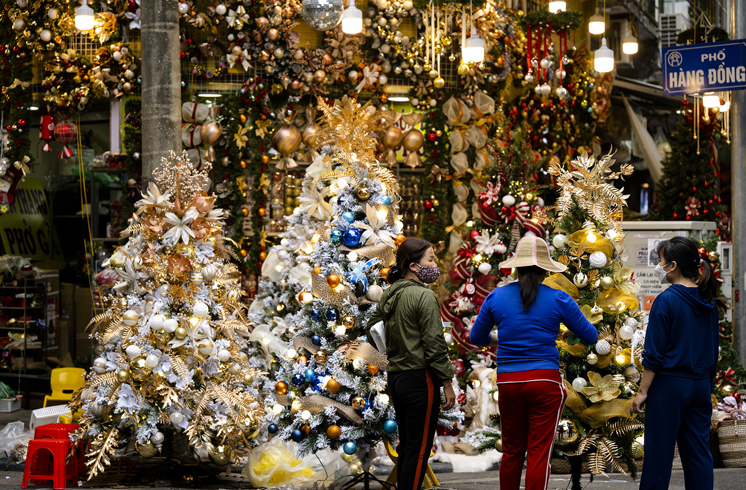 Cây thông Noel được bày bán rất nhiều, đủ loại kích thước, có những cây cao tới 3m.