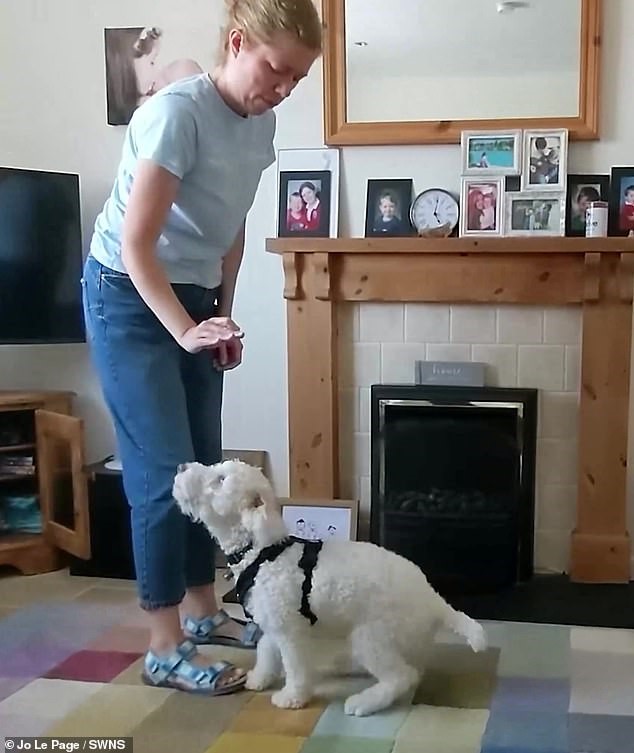 Jo Le Page đã dạy chó cưng ngôn ngữ ký hiệu