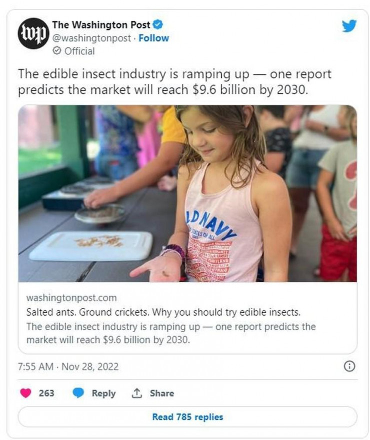 Theo tờ The Washington Post, dự đoán ngành công nghiệp thực phẩm từ côn trùng sẽ tăng lên 9,6 tỉ USD doanh thu hàng năm vào năm 2030. Ảnh: TWITTER
