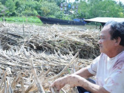 Thị trường - Tiêu dùng - Chủ ghe mía như ‘ngồi trên đống lửa’ chờ nhà máy đường nhập hàng