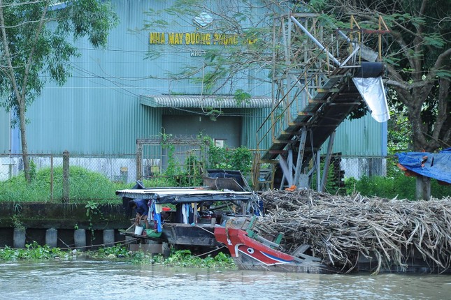 Đến ngày 21/11, CASUCO tiếp tục ra thông báo điều chỉnh giá mua mía. Theo đó, công ty thu mua mía theo 2 phương thức. Đối với thu mua mía theo chữ đường, giá mía là 1.380 đồng/kg mía 10 chữ đường (CCS), tăng 80 đồng/kg so với giá ban đầu. Đối với mía mua xô, giá thu mua là 1.350 đồng/kg. Việc điều chỉnh tăng 80 đồng/kg cũng là cách hỗ trợ người dân và để huy động được nhiều mía nguyên liệu cho nhà máy.