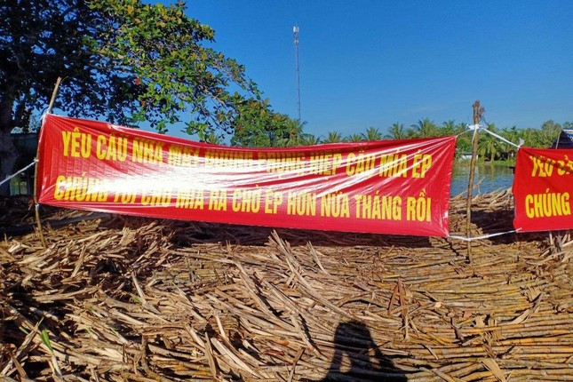 Theo lãnh đạo CASUCO, sáng 28/11 có những người đi ghe mang những băng rôn tới đưa cho các chủ ghe mía căng lên, lực lượng công an đang tìm hiểu những ghe "lạ" này.