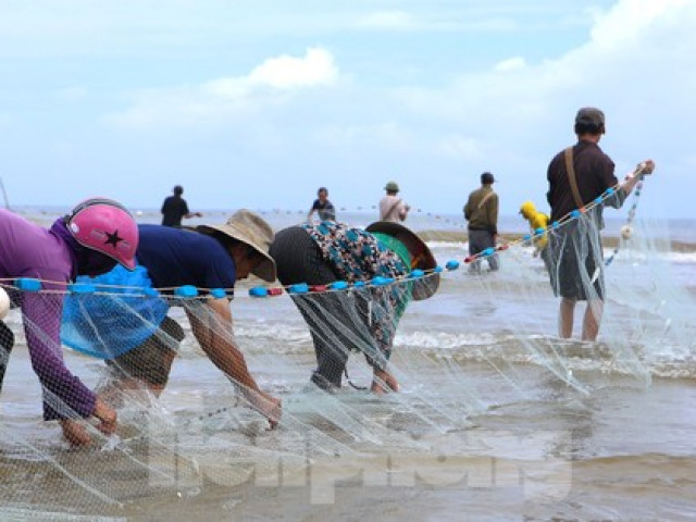 Độc đáo nghề ‘đi giật lùi’ kiếm nửa triệu mỗi ngày ở cửa biển