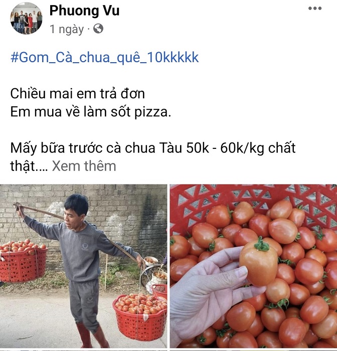 Hiện tại cà chua được bán với giá chỉ 10 nghìn đồng/kg. (Ảnh chụp màn hình).