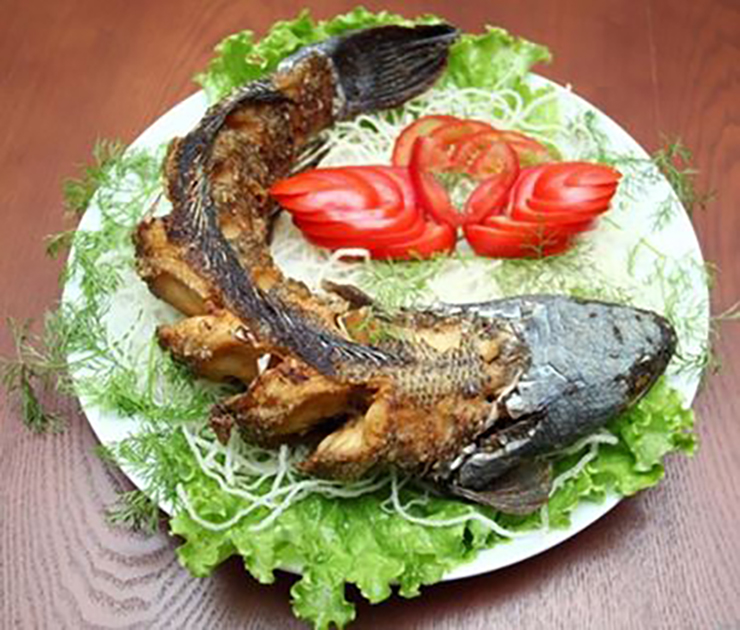 Giờ đây, cá nheo thành đặc sản được bán ở thành phố với giá 150.000 đồng/kg
