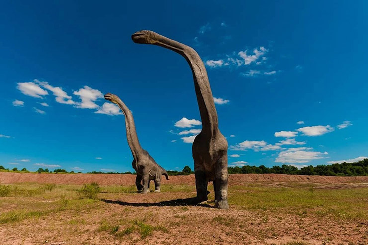 15. Xác của loài khủng long lớn nhất từng được phát hiện ở Argentina là loài Patagotian, do một người nông dân tình cờ phát hiện. Chúng là loài ăn thực vật có cổ dài, sống từ cuối kỷ Jura đến cuối kỷ Phấn trắng. 
