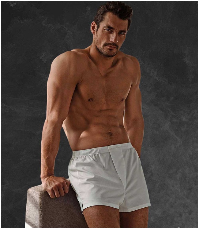 David James Gandy là một nam người mẫu thời trang đến từ Anh. Trong vài năm, Gandy là người mẫu nam chính cho hãng Dolce &amp; Gabbana. Vóc dáng vạm vỡ, hấp dẫn của David Gandy đã giúp anh trở thành một trong những người mẫu nam có ảnh hưởng nhất thời điểm hiện tại.
