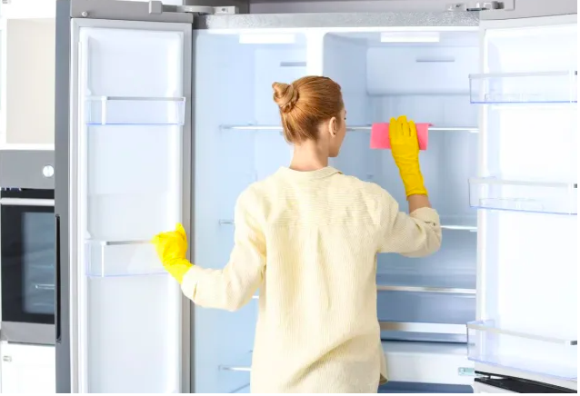 5 mẹo vệ sinh tủ lạnh siêu sạch chuẩn bị đón Tết - 2