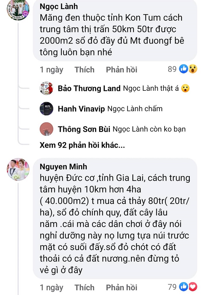 Và cũng người khẳng định với 50 triệu có thể mua được 2000m2 đất rừng có sổ đầy đủ, mặt đường bê tông...