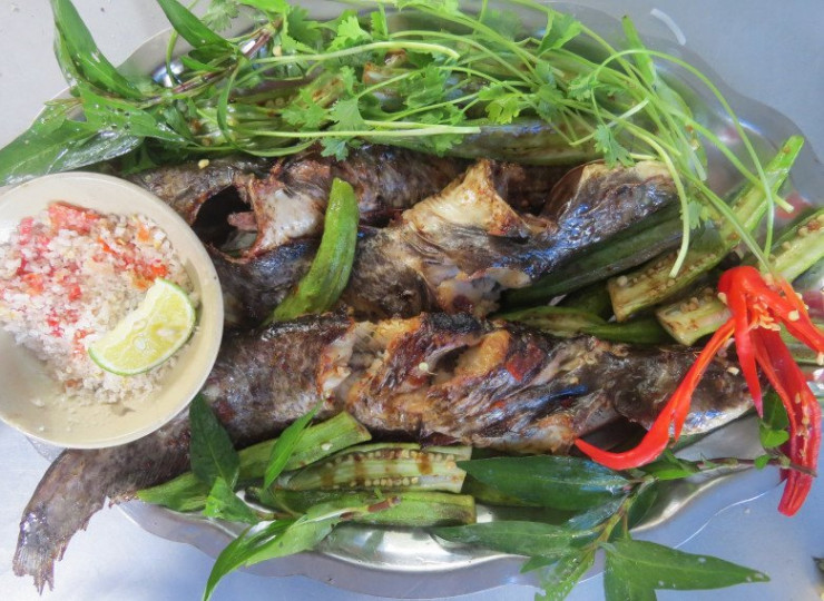 The type of fish that used to be full of people no one eats, is now a specialty that many people love because it's delicious and nutritious, 450,000 VND/kg - 3