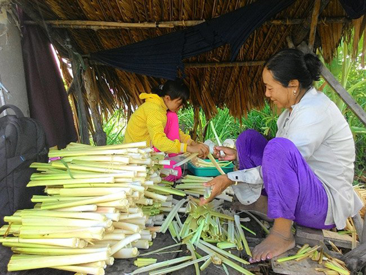 Vì nó mang lại giá trị kinh tế và được nhiều người tìm mua vì lạ miệng, nhiều hộ dân ở Cà Mau đã chuyển đổi từ nuôi tôm sang trồng bồn bồn, thu nhập khấm khá.&nbsp;
