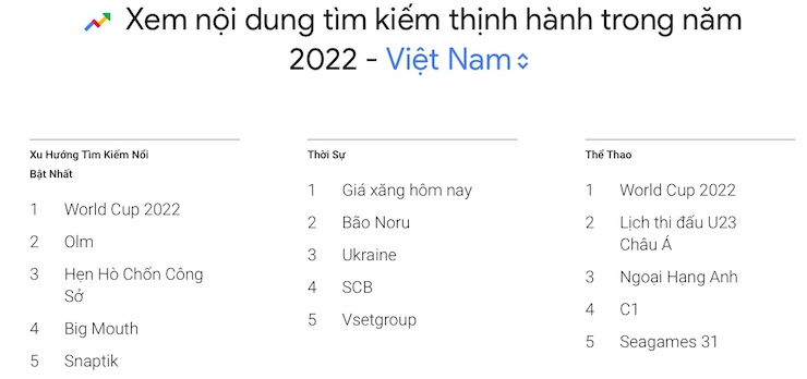 Một số chủ đề được người dùng Google tại Việt Nam&nbsp;tìm kiếm nhiều nhất trong năm 2022.