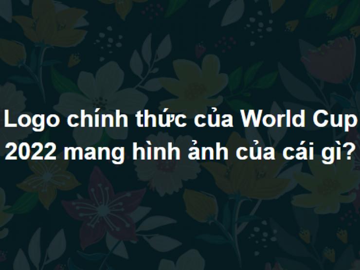 Có cả bể kiến thức mới trả lời đúng trọn bộ câu hỏi này