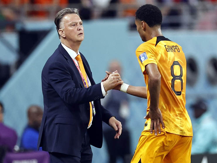 MU bị nghi "lén lút" tiếp cận Van Gaal ở World Cup, nhờ vả chiêu mộ Gakpo - 1