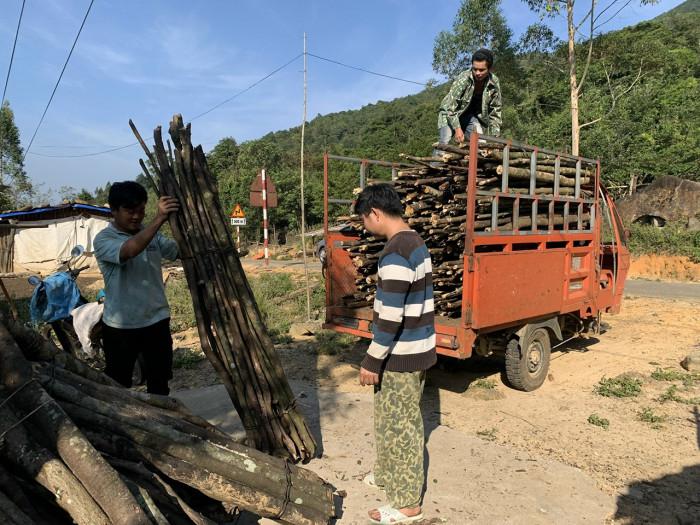 Cùng với chăn nuôi, việc khai thác lâm sản phụ đã giúp cho người dân Hang Vây sống tốt hơn nơi quê nhà