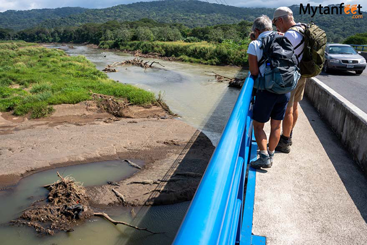 4. Đáng tiếc thay, sông Tarcoles bị ô nhiễm nghiêm trọng nhất ở Costa Rica. Mặc dù vậy, vẫn có nhiều động vật hoang dã sống phụ thuộc vào dòng sông để sinh tồn do vị trí quan trọng của nó.
