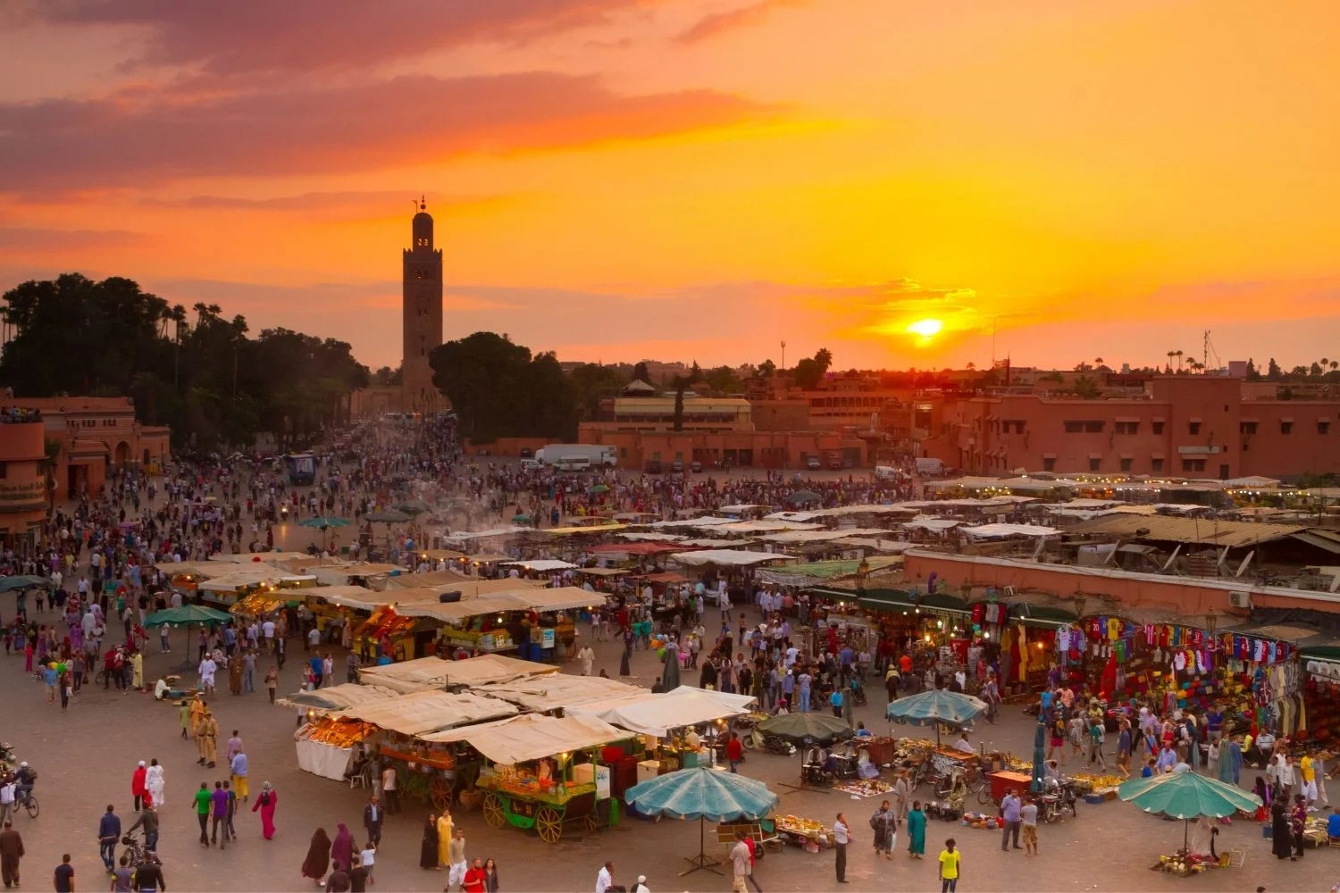 Thành phố đỏ ở Morocco (ảnh: theworldpursuit)