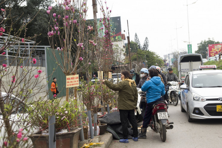 Tranh thủ ngày cuối tuần, rất nhiều người dân Thủ đô bắt đầu có mặt tại chợ Quảng Bá để tìm mua hoa.