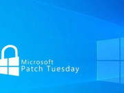 Công nghệ thông tin - Người dùng Windows nên cập nhật ngay để vá 49 lỗ hổng