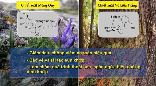 Những món khiến xương khớp đau nhức dữ dội mà nhiều người Việt vẫn mê mẩn - 3