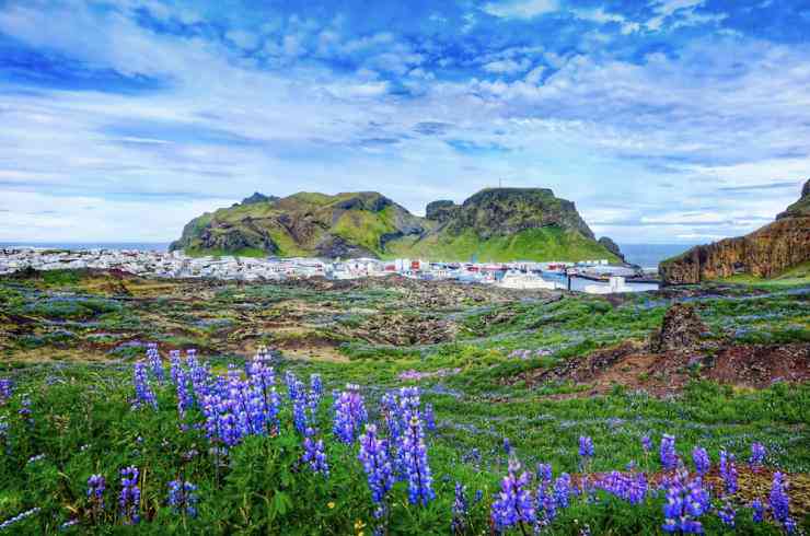 Đi thuyền tham quan&nbsp;Vestmannaeyjar:&nbsp;Là một quần đảo ngoài khơi với những đỉnh núi cheo leo, Vestmannaeyjar chỉ cách đất liền 30 phút đi phà, nhưng cảm giác đem lại rất khác biệt. Chuyến tham quan bằng thuyền đến các hòn đảo nhỏ rải rác sẽ cho bạn thấy những con chim biển kêu quang quác, những vách đá cao chót vót và khung cảnh đáng giá. Dân số hơn 4.000 người của hòn đảo tập trung ở Heimaey -&nbsp;một thị trấn nhỏ gồm những ngôi nhà gỗ lộng gió với dung nham uốn lượn chảy thẳng qua trung tâm như&nbsp;lời nhắc nhở sâu sắc về cảnh quan đầy biến động của Iceland. Ảnh: Shutterstock