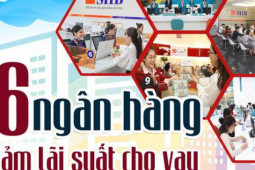 [Infographic] Chi tiết 16 ngân hàng cam kết giảm lãi suất cho vay