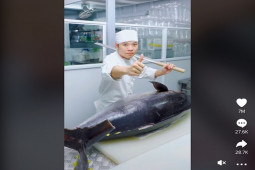 Clip phi lê cá ngừ của Hoshi Phan hút 7 triệu tim, ”hot” nhất TikTok năm 2022